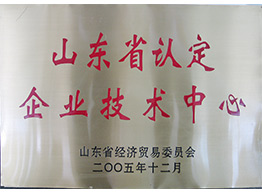 山(shān)東省認定齊(qi)業技(ji)術(shù)中(zhong)心2005
