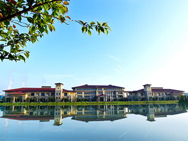 民(mín)族品(pin)牌武漢雙虎